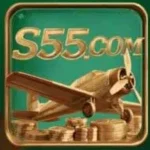 s55