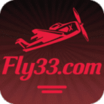 fly33